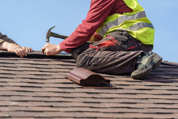 Best Shingle Roofing Installation  in South Wallins, KY